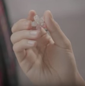 《百年樹木》MV