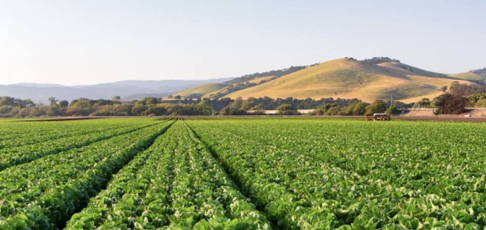 Zacky Farms Facebook