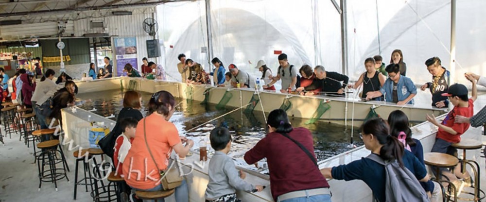 Screen Shot 2018-10-30 at 12.18.48 PM