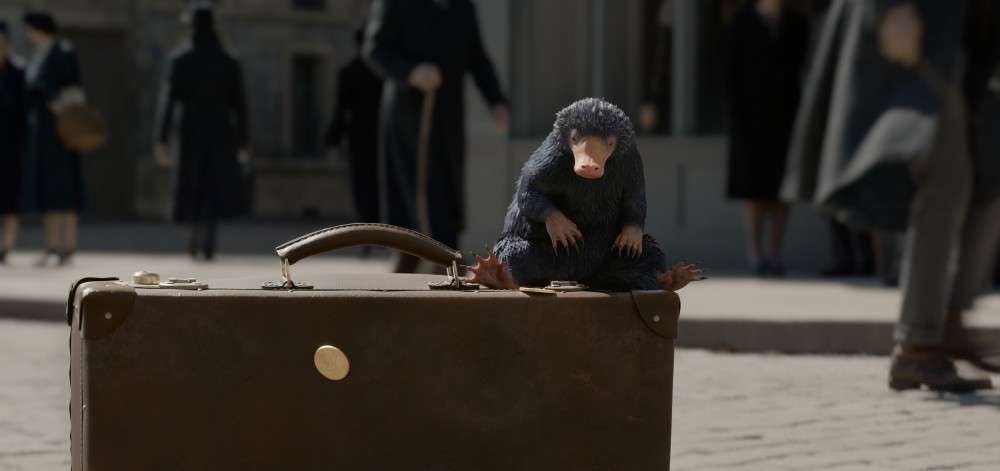 WBPicturesHK