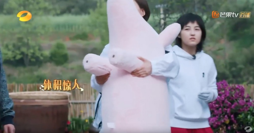 《嚮往的生活》