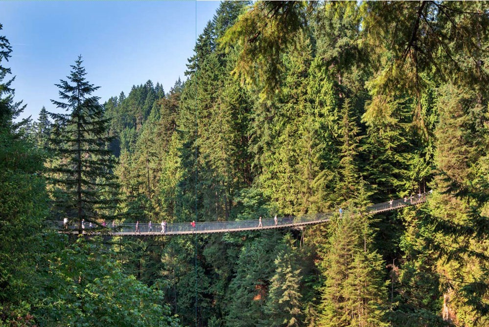 螢幕快照 2018-12-14 下午9.11.55