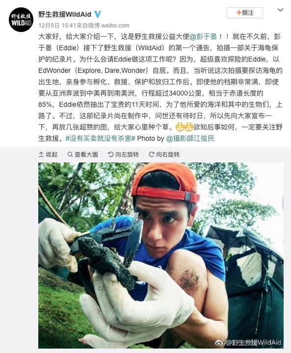野生救援WildAid@微博