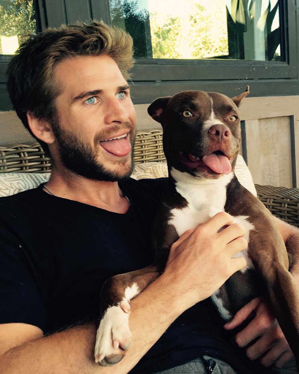 IG@liamhemsworth