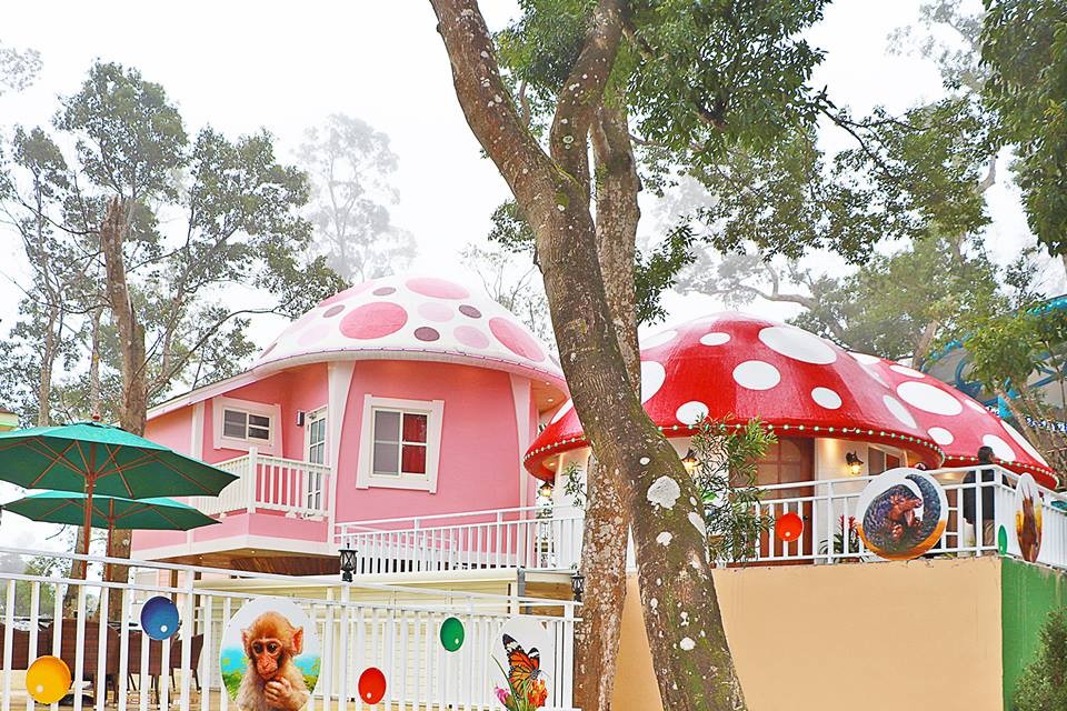 Sud Vista 蘇維拉莊園官網