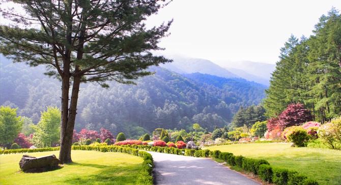 The Garden of Morning Calm