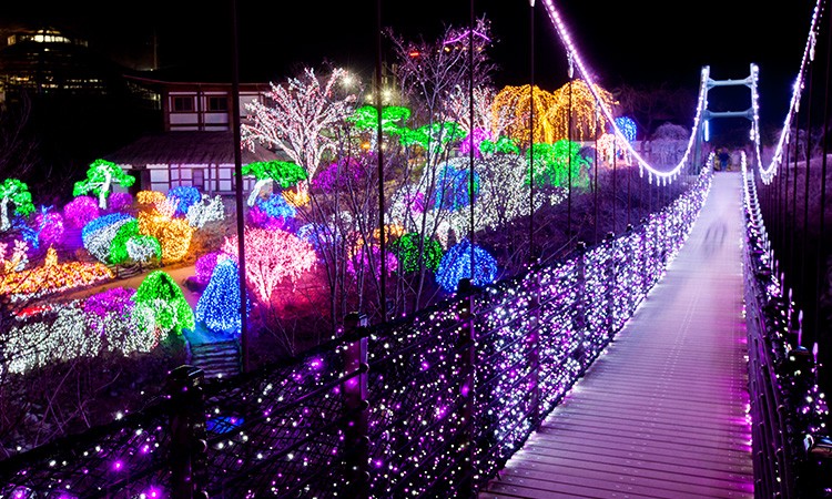 The Garden of Morning Calm