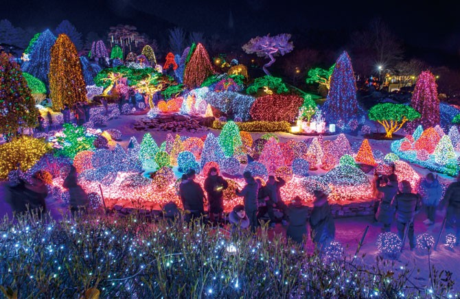 The Garden of Morning Calm