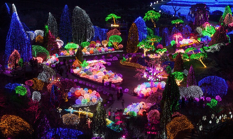 The Garden of Morning Calm