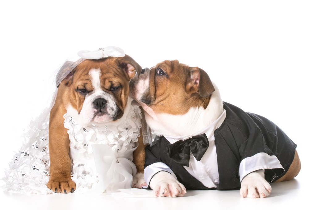 shutterstock