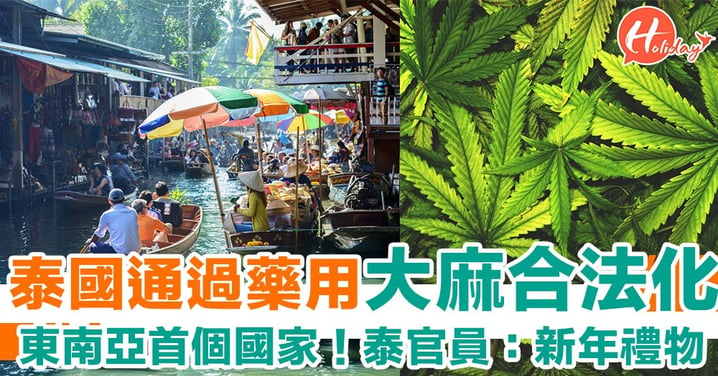 東南亞首個國家！泰國政府通過藥用「大麻合法化」～泰官員：新年禮物！