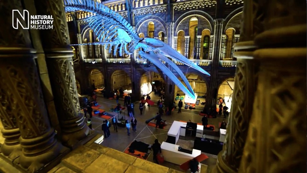 Natural History Museum