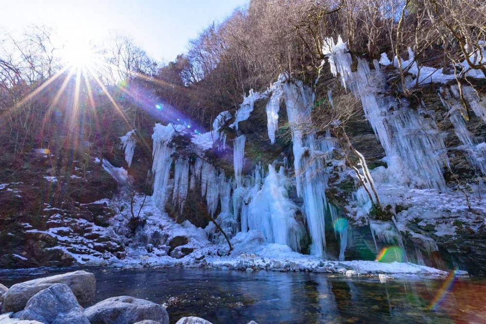 tetsunyan1@Instagram