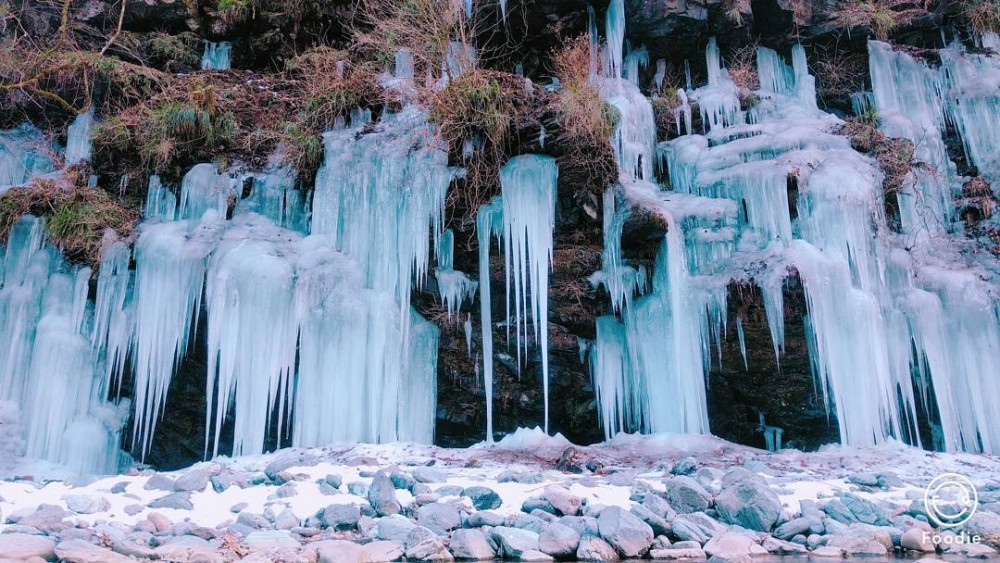 koji.kurihara@Instagram