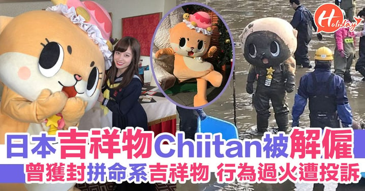 日本高知縣觀光大使Chiitan被解僱 曾獲封「拼命系吉祥物」