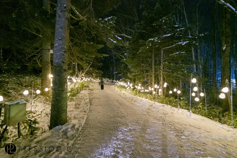 Ice Village官網