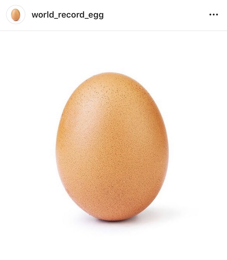 World_record_egg IG 