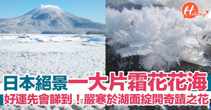 冬季限定絕景！日本嚴寒於湖面綻開  壯觀奇蹟之花｢霜花｣花海   好運先會睇到～