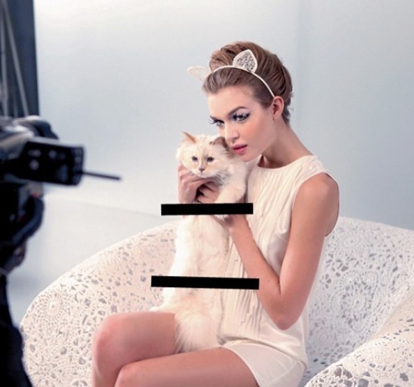 Choupette Lagerfeld IG