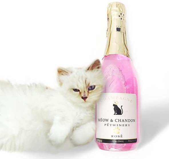 Choupette Lagerfeld IG