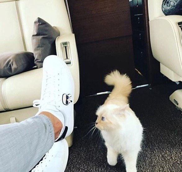 Choupette Lagerfeld IG