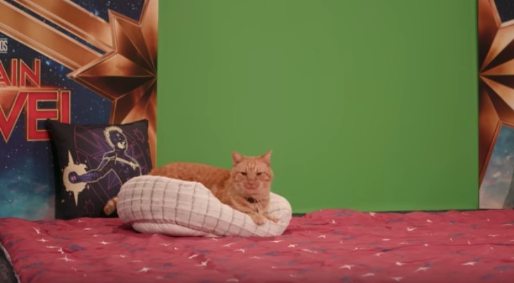 Marvel Entertainment@Youtube