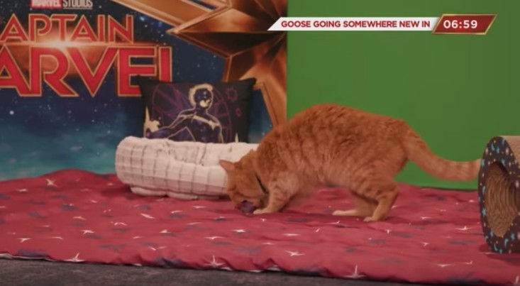 Marvel Entertainment@Youtube