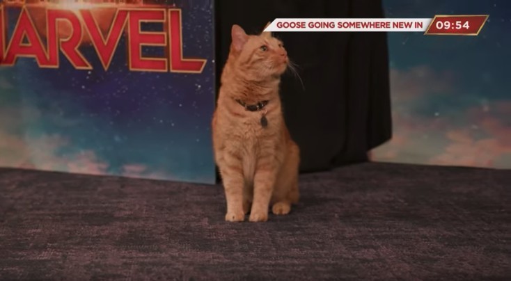 Marvel Entertainment@Youtube