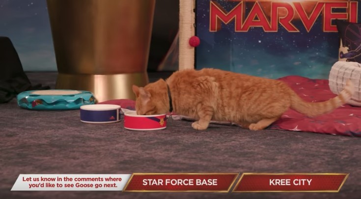 Marvel Entertainment@Youtube