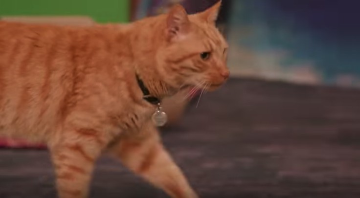 Marvel Entertainment@Youtube