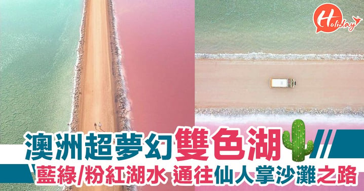 超夢幻！澳洲雙色海攤 一條長直路分隔雙色湖 一邊粉紅色 一邊藍綠色