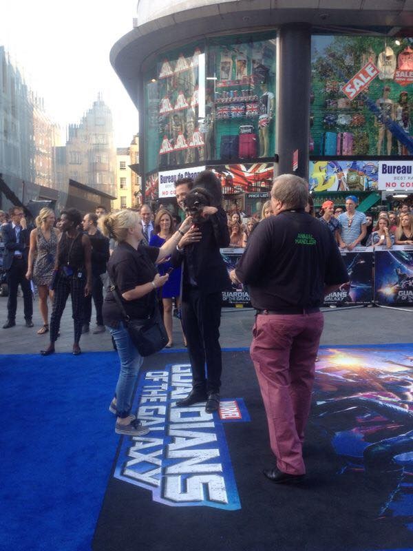 51398913_1862813127160726_3047632467377782784_n