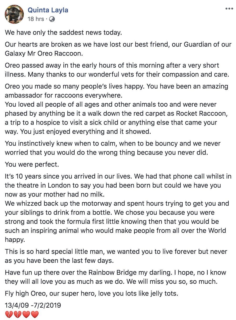 Screen Shot 2019-02-08 at 11.39.28 AM