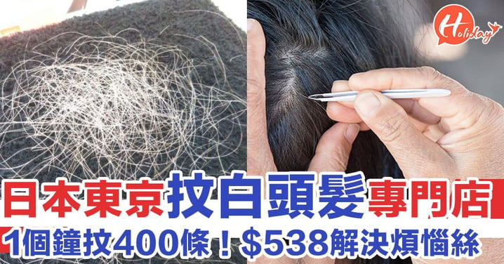 日本東京「抆白頭髮」專門店！一小時$538抆400條～好抵呀！
