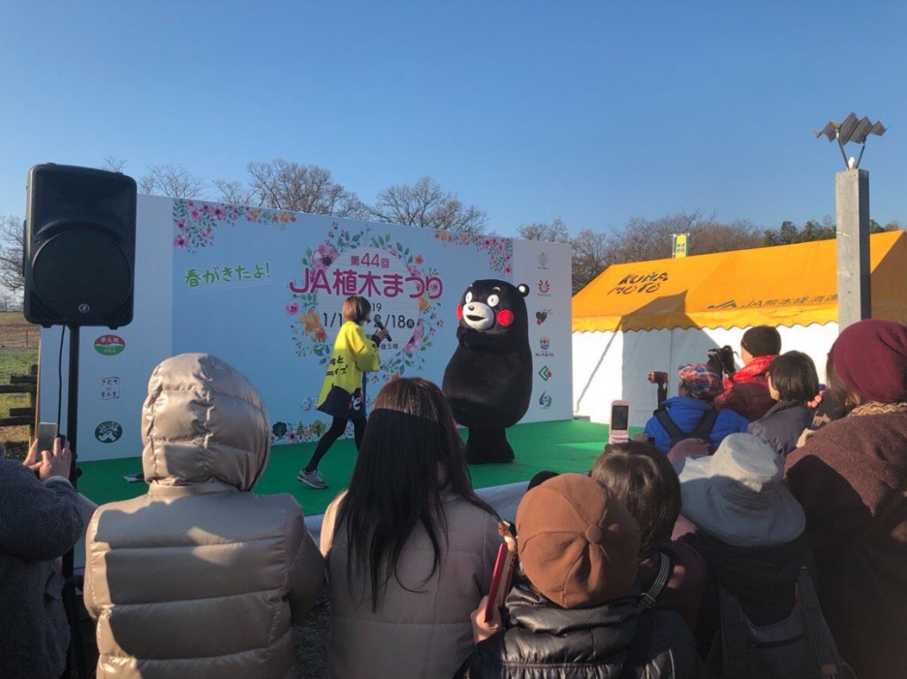 twitter @55_kumamon