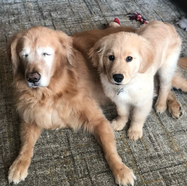 ig @ charlieandmav