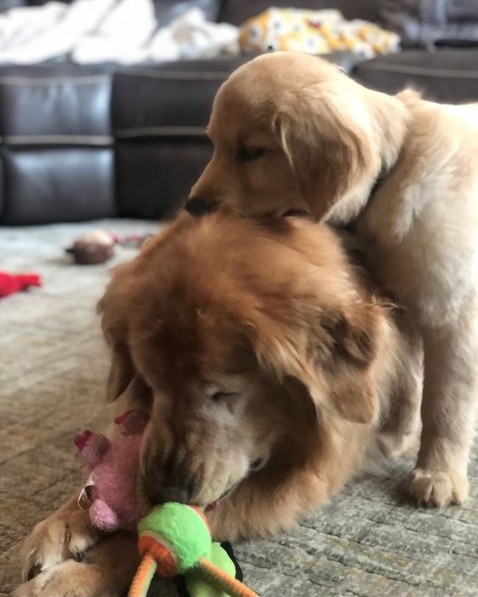 ig @ charlieandmav