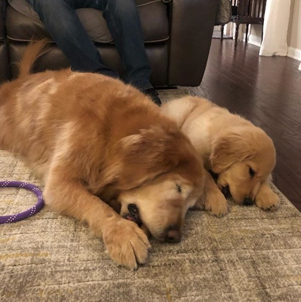 ig @ charlieandmav
