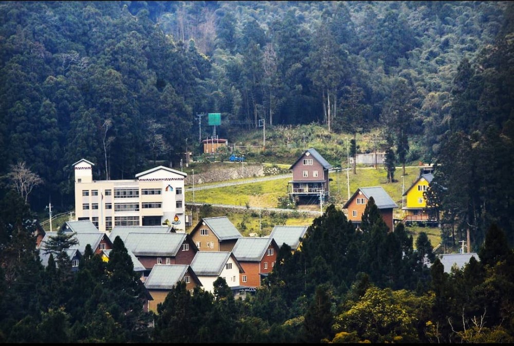 29739915_155107098517063_6409883680168214528_n