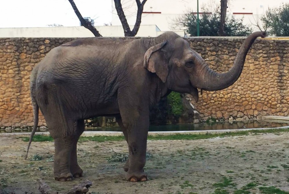 Zoo de Córdoba