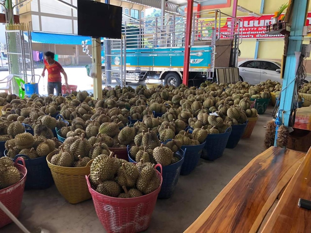 Anont Rotthong Facekbook