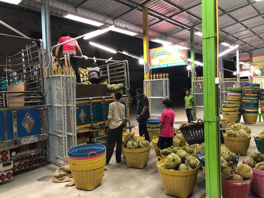 Anont Rotthong Facekbook