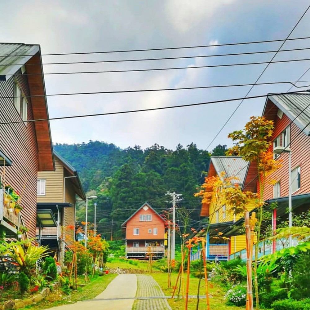 Instagram @ door_opening_perry