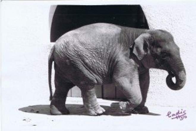 Zoo de Córdoba