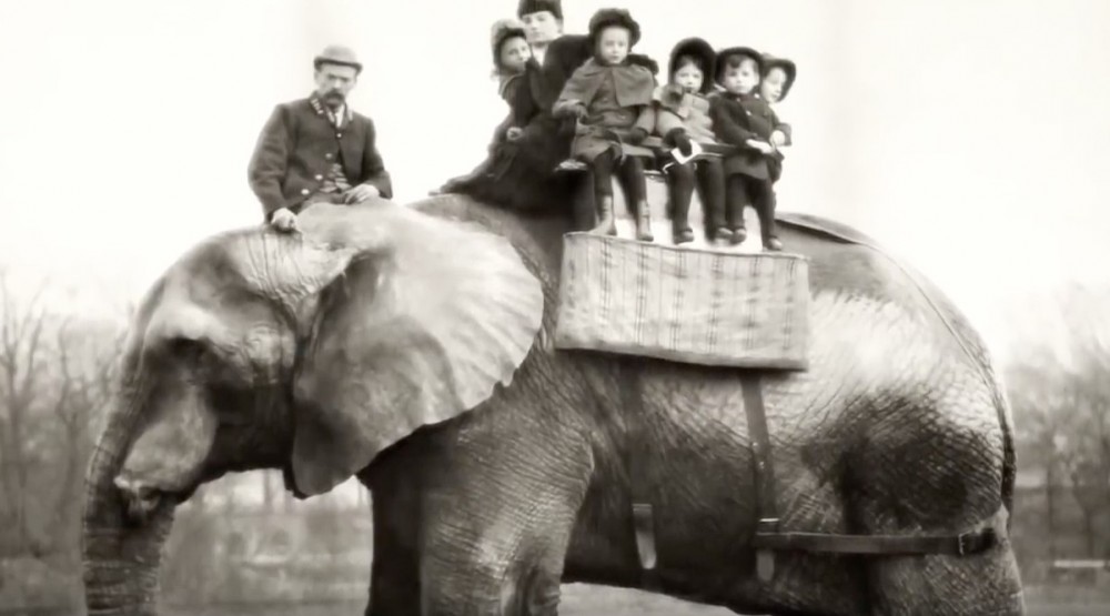 《Attenborough And The Giant Elephant》