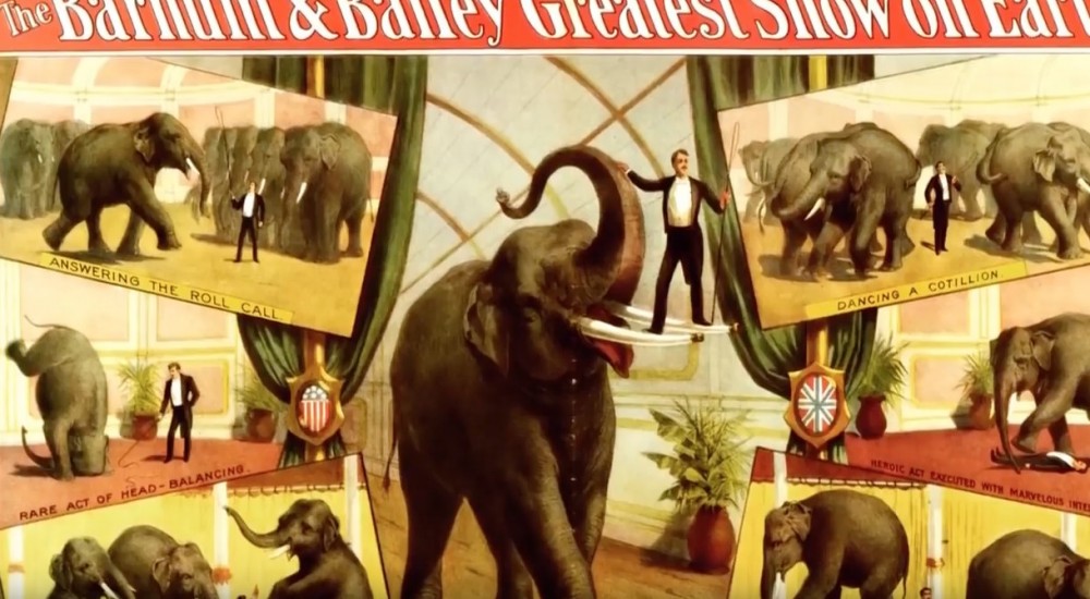 《Attenborough And The Giant Elephant》