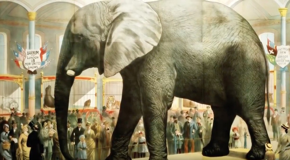 《Attenborough And The Giant Elephant》