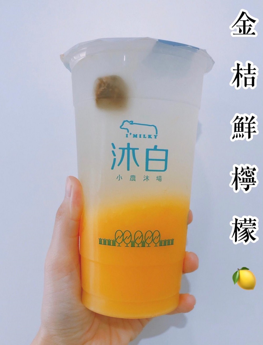 沐白