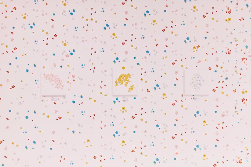 ccsakura 官網