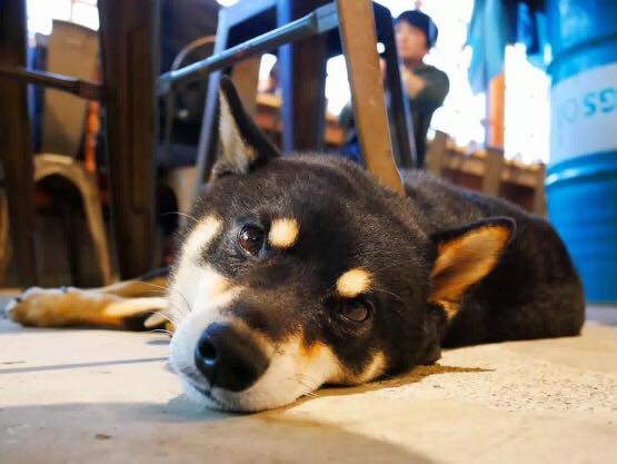 斗。宅商社Café & Bar 官網